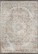 Dariush 1068 Traditional Persian Area Rug Multi