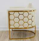 Rose Velvet Modern Stainless Steel Modern Dining Chair Cream Gold