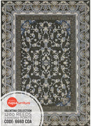 Valentina 6660 COA Persian Traditional Area Rug