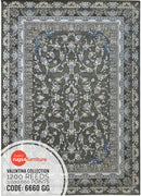 Valentina 6660 GG Persian Traditional Area Rug