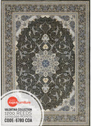 Valentina 6780 COA Persian Traditional Area Rug