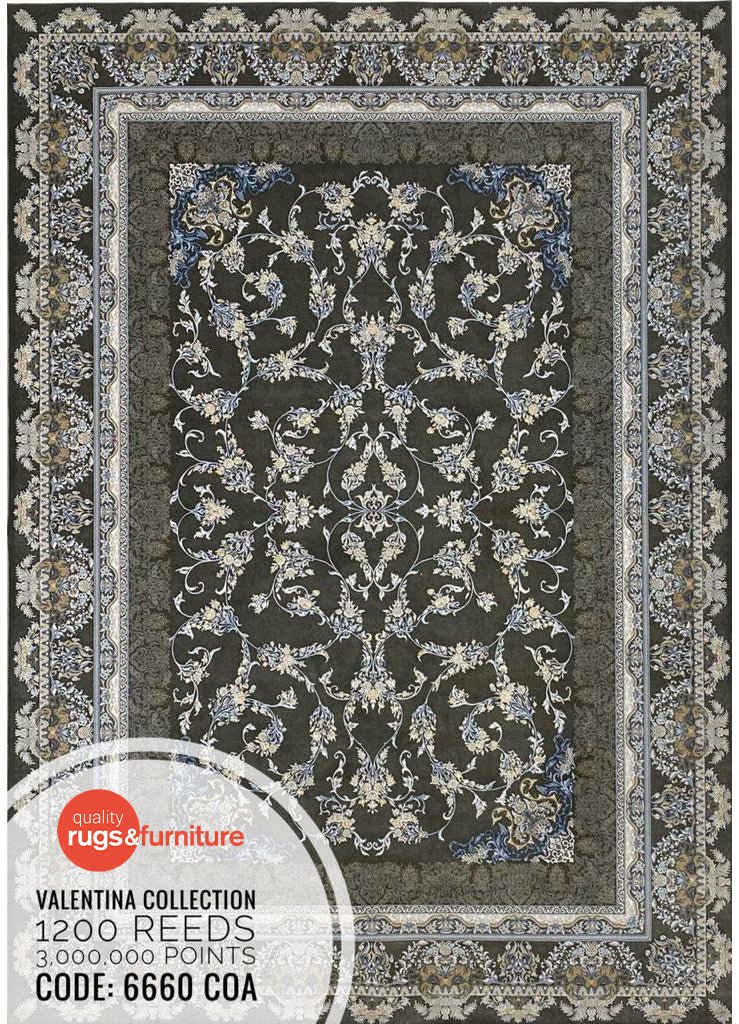 Valentina 6660 COA Persian Traditional Area Rug - Quality Rugs and Furniture