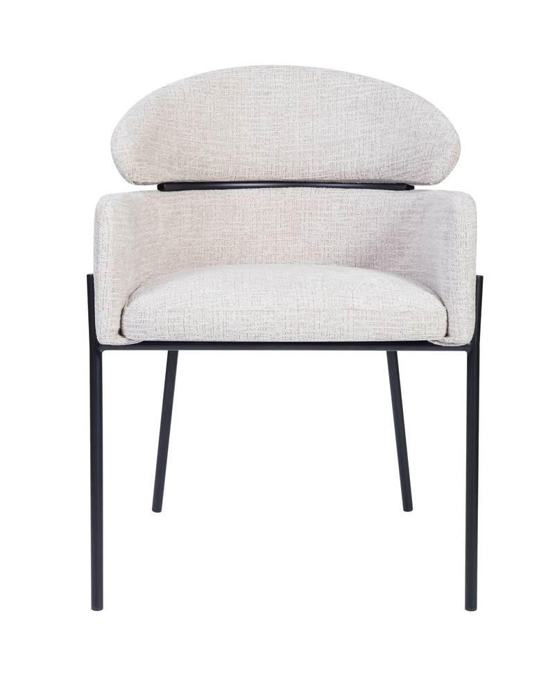Modern Dining Chair