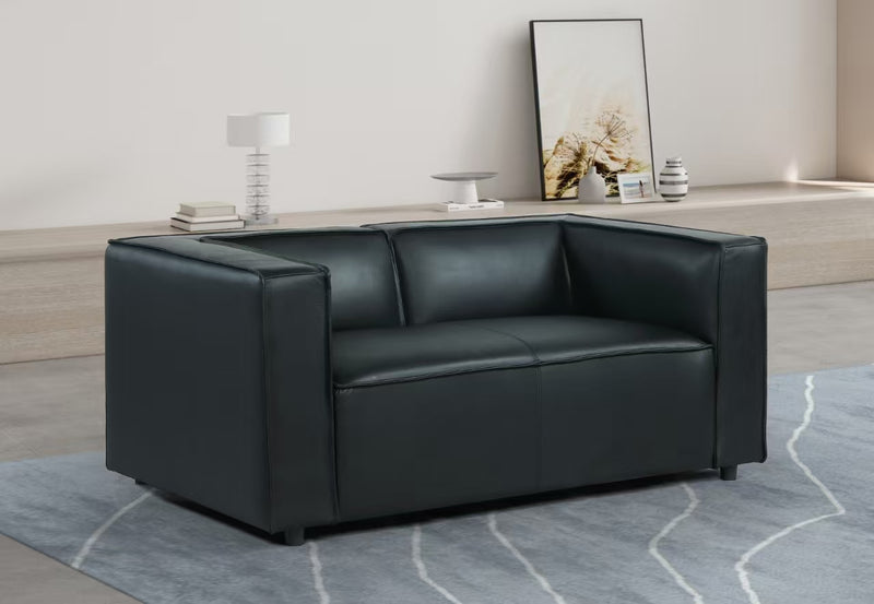 Tali Modern Thick Leather Sofa Set
