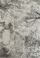 Elmas T532A Modern Area Rug L.Grey V.Grey