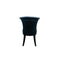A DINING CHAIR | 903 Dining Chairs Black | Quality Rugs and Furniture